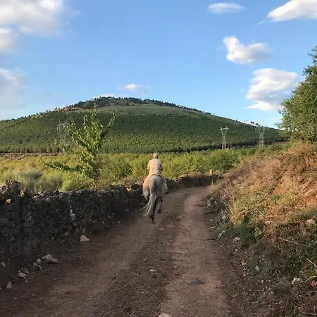 Martins Villa Lagoaca