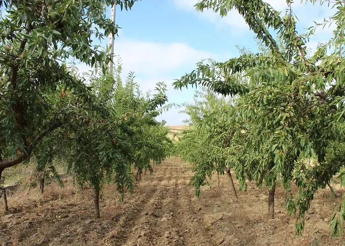 Martins Вилла Lagoaca