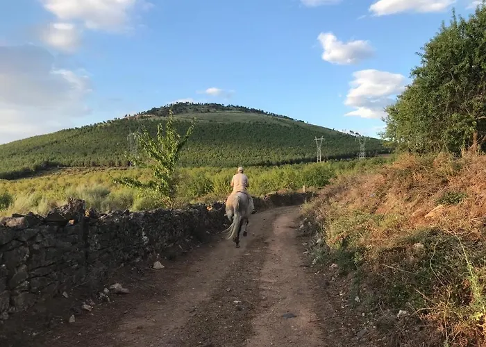 Martins Вилла Lagoaca